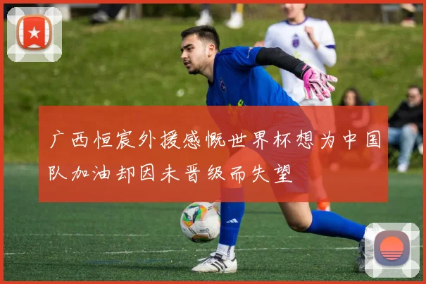 广西恒宸外援感慨世界杯想为中国队加油却因未晋级而失望